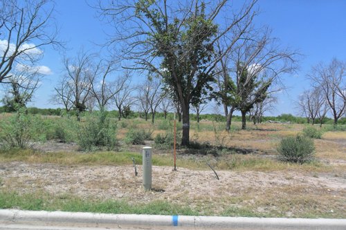 Property photo 2 - Bank Owned Real Estate Auction - McAllen